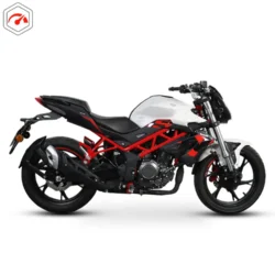 موتور سیکلت بنلی 250 سی‌سی
