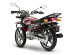 احسان شکار 150ABS - تصویر 3