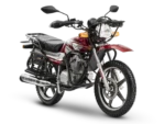 احسان شکار 150ABS - تصویر 4