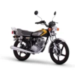 رهرو 200-گوهرموتور