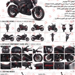 موتور سیکلت دومینار 250