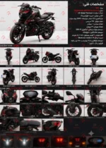 موتور سیکلت دیمون gpx 200