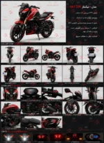 موتور سیکلت نیکتاز 250 سی‌سی قرمز | (red) Niktaz DKT 250 cc - تصویر 2
