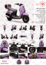 اسکوتر برقی کویر موتور MS1