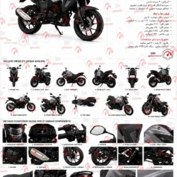 موتور سیکلت گلکسی na180
