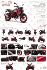 موتور سیکلت گلکسی na180