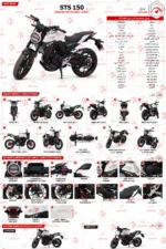 موتور سیکلت متین STS 150