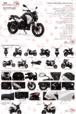 موتور سیکلت گلکسی na180